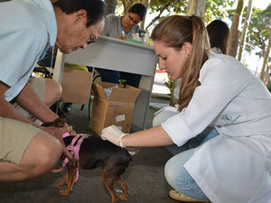 Tem início a Campanha de Vacinação contra Raiva em cães e gatos