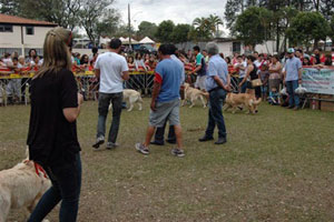 Festival de Cães acontece na manhã deste domingo em Tupã