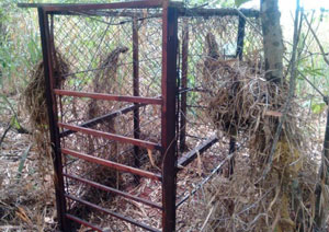 Polícia Ambiental apreende gaiolas de caça em propriedade rural de Tupã