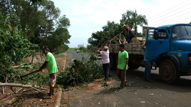 Vendaval causa estragos em Tupã e Prefeitura realiza mutirão de limpeza