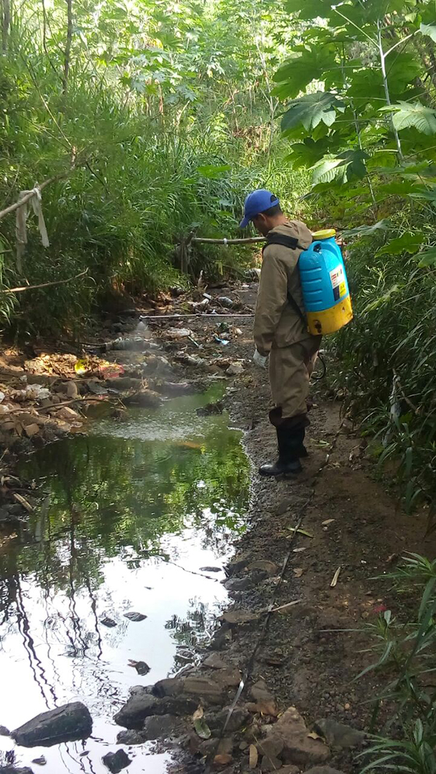 Saúde realiza ações de controle biológico nos córregos da cidade