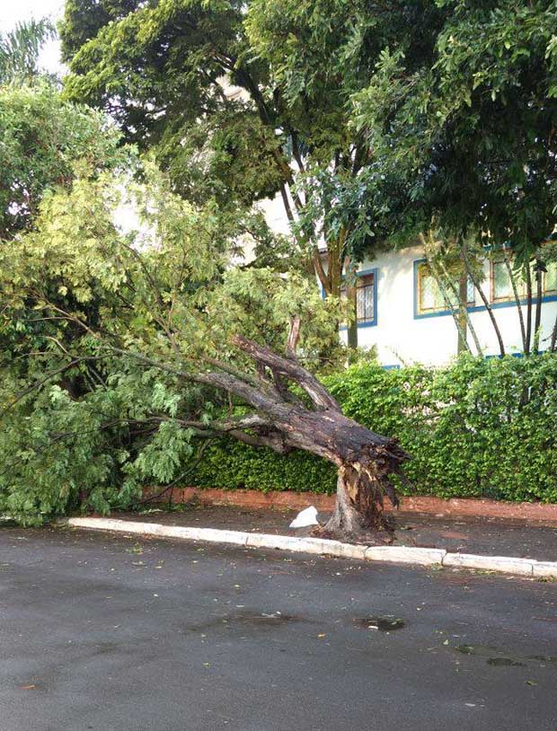 Temporal faz estragos em Tupã