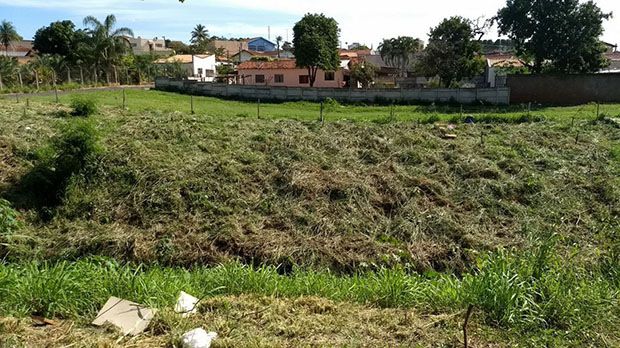 Limpeza é realizada em vários pontos da cidade