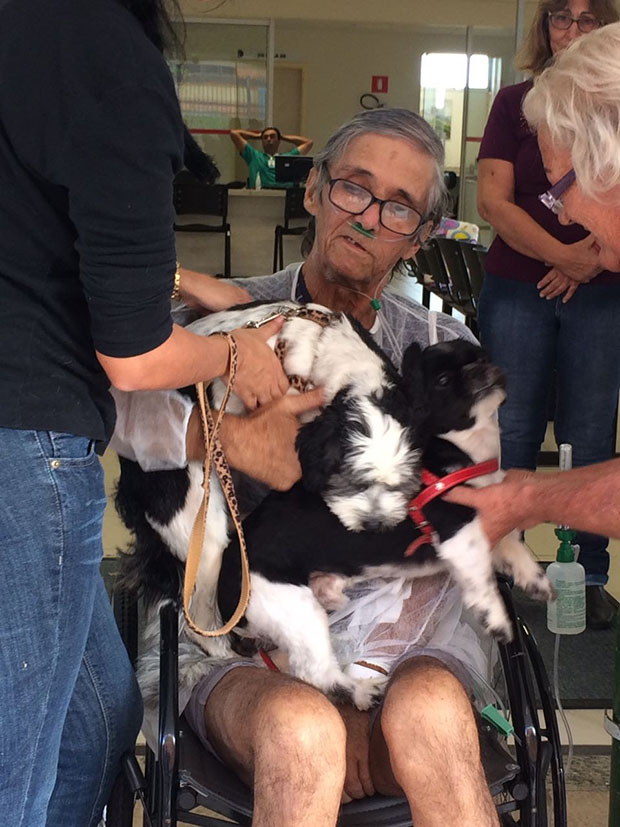 Paciente em estado crítico se despede de seus cães