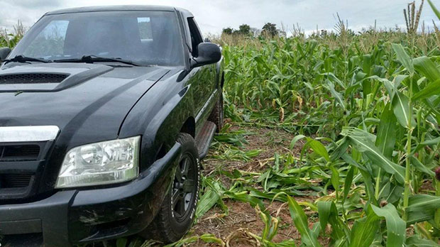 Motorista perde o controle e adentra plantação na rodovia SP-294