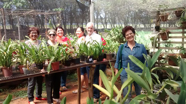 É divulgado cronograma de cursos para o mês de junho