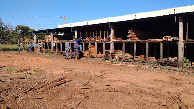 Polícia Ambiental deflagra grande operação a madeireira na região de Marília, Assis, Ourinhos e Tupã