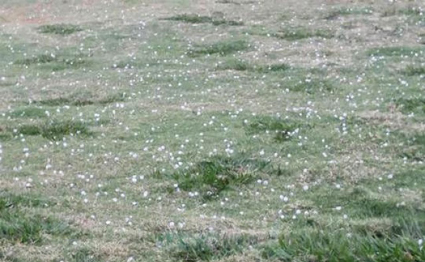 Chuva causa queda de árvore e falta de energia em bairros de Tupã