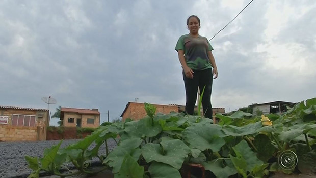 Mulher planta pé de abobrinha em buraco para protestar:  Até floresceu