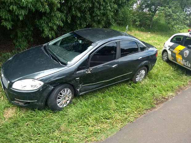 Cachorro morto na pista provoca acidente na SP-294 em Iacri