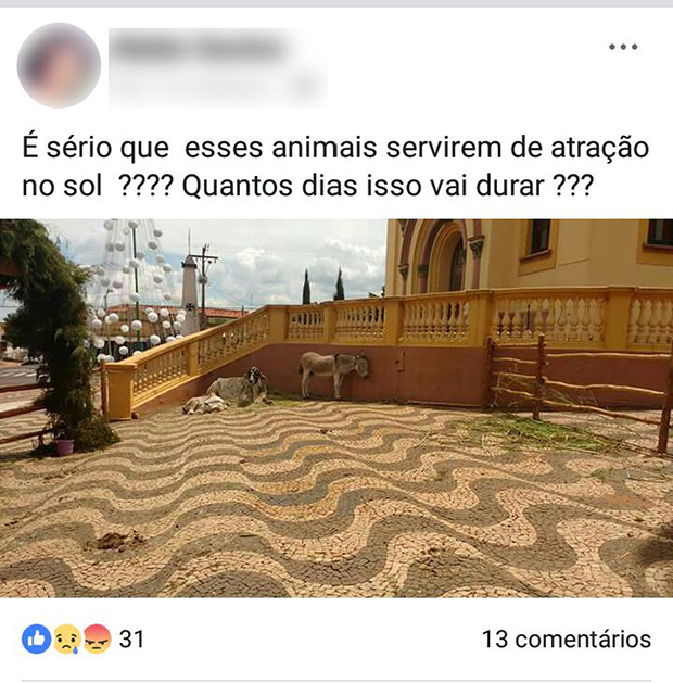 Prefeitura usa animais vivos em presépio ao ar livre e causa polêmica