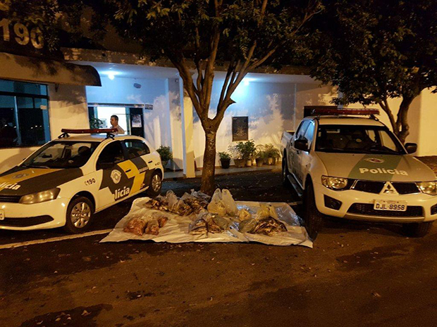 Polícia Rodoviária de Tupã prende flagra casal com mais de 130 kg de peixe