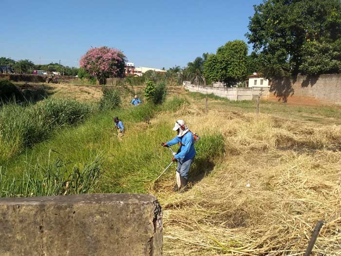 Mutirão de limpeza é realizado na ponte da Rua Palma