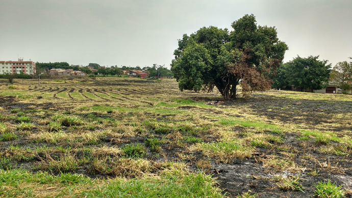 Queimadas aumentam nesse período e Secretaria de Agricultura e Meio Ambiente faz alerta