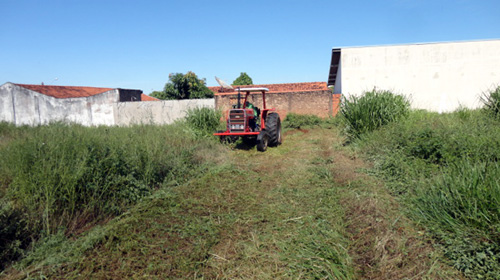 Prefeitura já roçou mais de 300 terrenos públicos e particulares