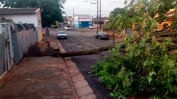 Chuva forte e ventos provocam estragos em Tupã