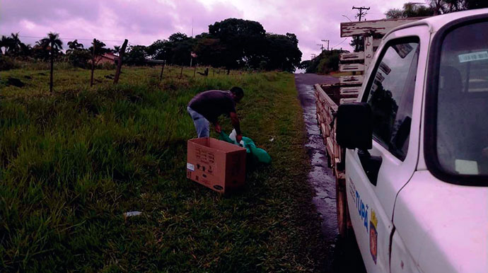 Prefeitura mantém serviço de recolhimento de animais mortos