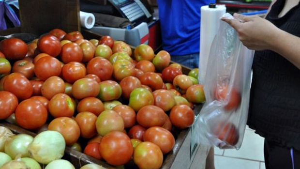 Em alta: Quilo do tomate nos supermercados está saindo em média por R$ 5,99