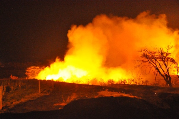 Incêndio atinge área de vegetação de universidade, em Presidente Prudente