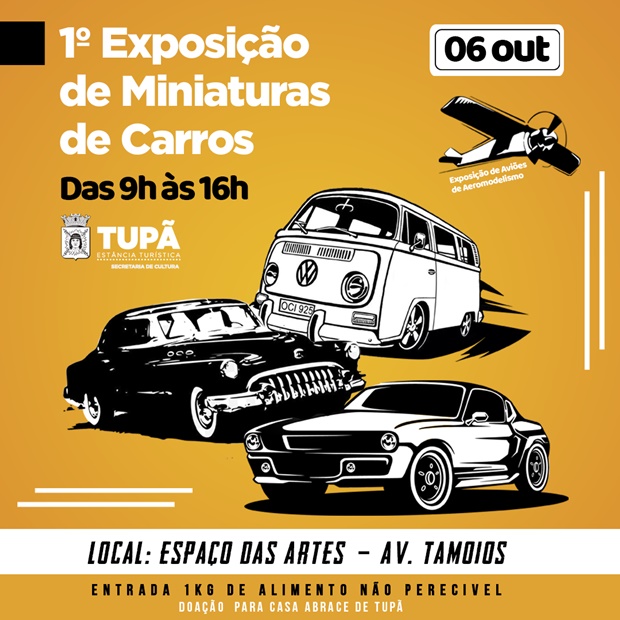 1ª Exposição de miniaturas de carros e aeronaves será neste domingo