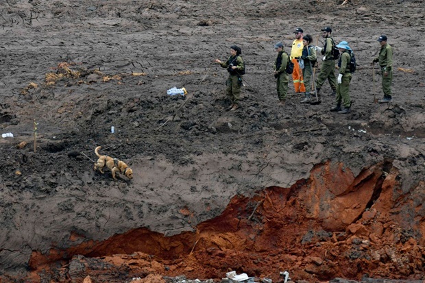 Bombeiros encontram mais um corpo de vítima de tragédia em Brumadinho