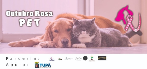 Outubro Rosa PET alerta sobre tumores cancerígenos em cadelas e gatas