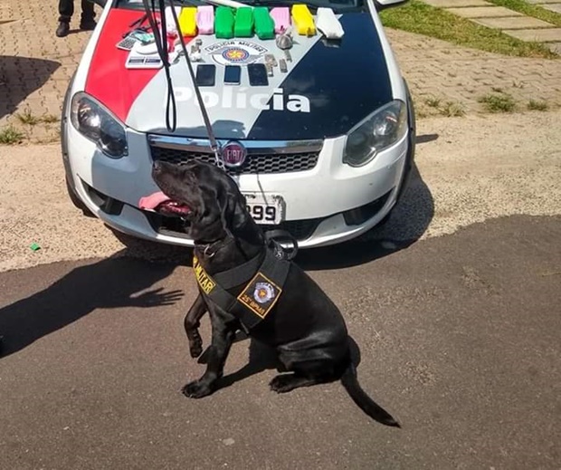 Polícia Militar prende homem em flagrante por tráfico de drogas em Lucélia