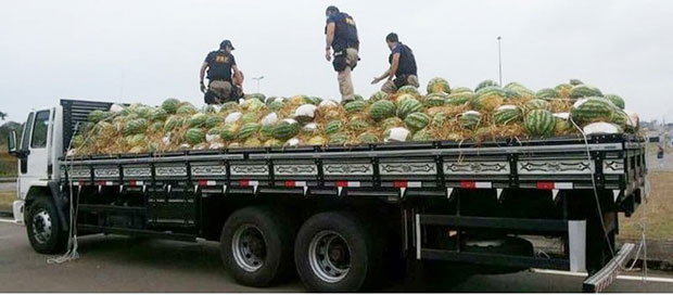 Polícia prende motorista tupãense com uma tonelada de maconha escondida em carga de melancias no RJ