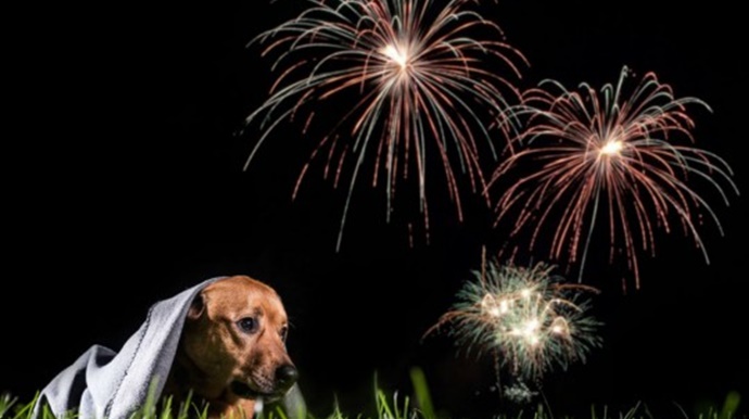 Tupãense vai criar abaixo-assinado para pedir fim dos fogos de artifício barulhentos