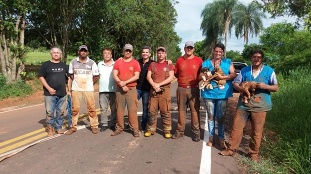 Cachorros presos dentro de tubulação em Parapuã são resgatados pelos bombeiros