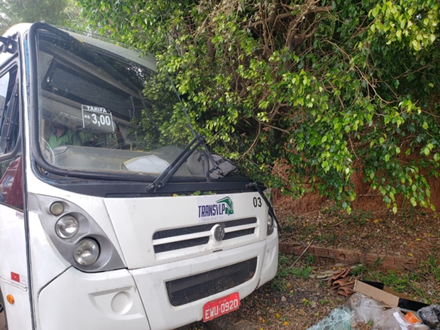 Motorista de micro-ônibus perde o controle e bate em árvore em Tupã