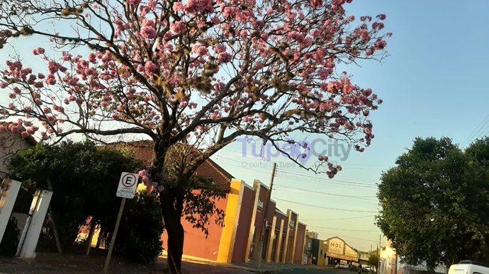 Previsão é de tempo nublado e temperaturas quentes para Tupã