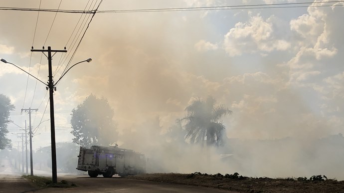 Queimadas provocam prejuízos à natureza, à saúde e às redes elétricas  