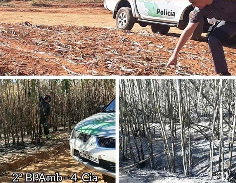 Fogo em pasto em propriedade de Parapuã rende multa de mais de R$ 30 mil