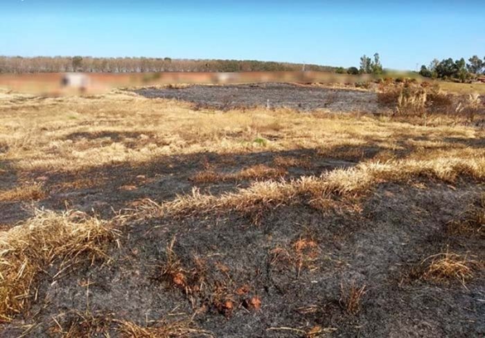 Propriedade rural de Tupã é multada por fogo em vegetação