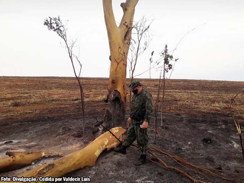 Fogo em área agrícola de Iacri rende multa de 183 mil a proprietário