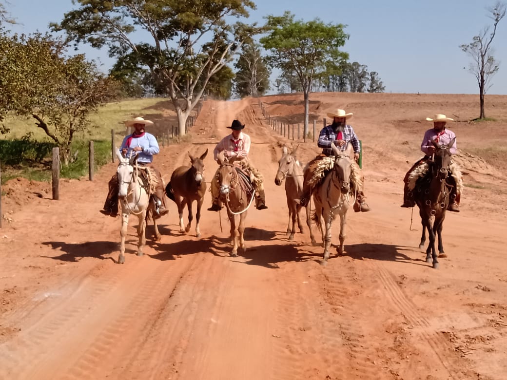 Romeiros de Tupã partem para Aparecida do Norte em cima de mulas