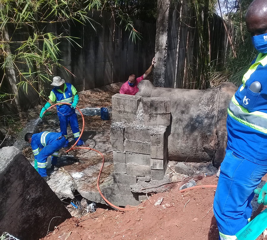 Moradores reclamam de infestação de pernilongos em Tupã/Foto: Redes sociais