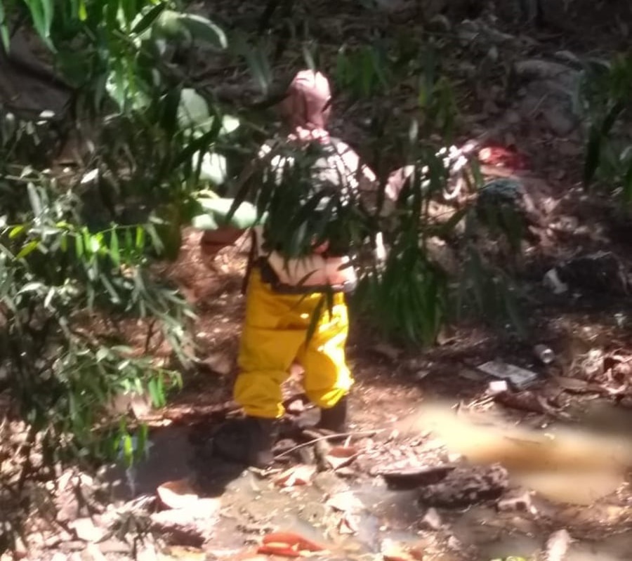 Moradores reclamam de infestação de pernilongos em Tupã