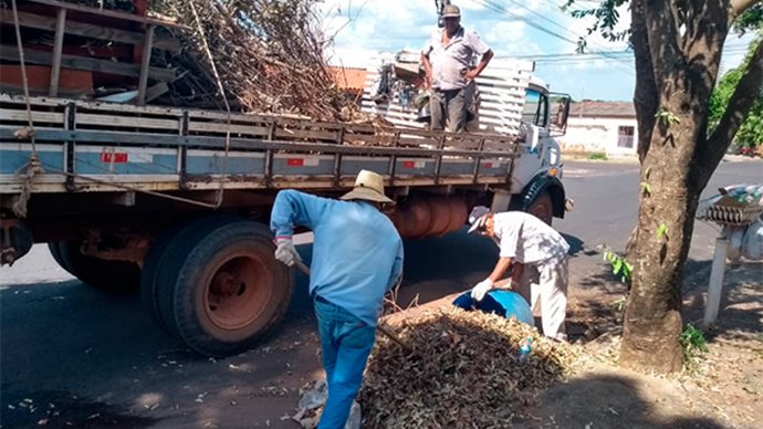 Tupã contará com mutirão contra escorpiões nesta quarta-feira (23)