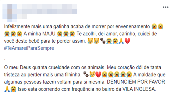 Animais continuam morrendo por envenenamento na Vila Inglesa