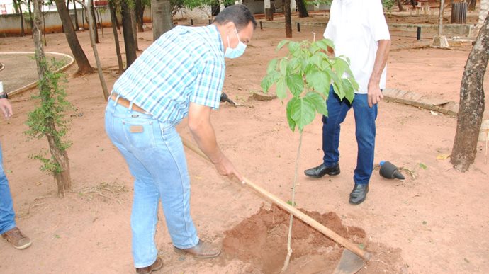 Dia da Árvore é comemorado com plantio nesta segunda-feira (21), em Tupã