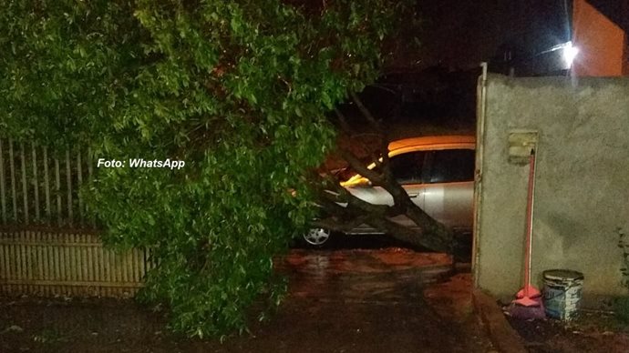 Em Rancharia ocorreram vários estragos por causa do temporal.