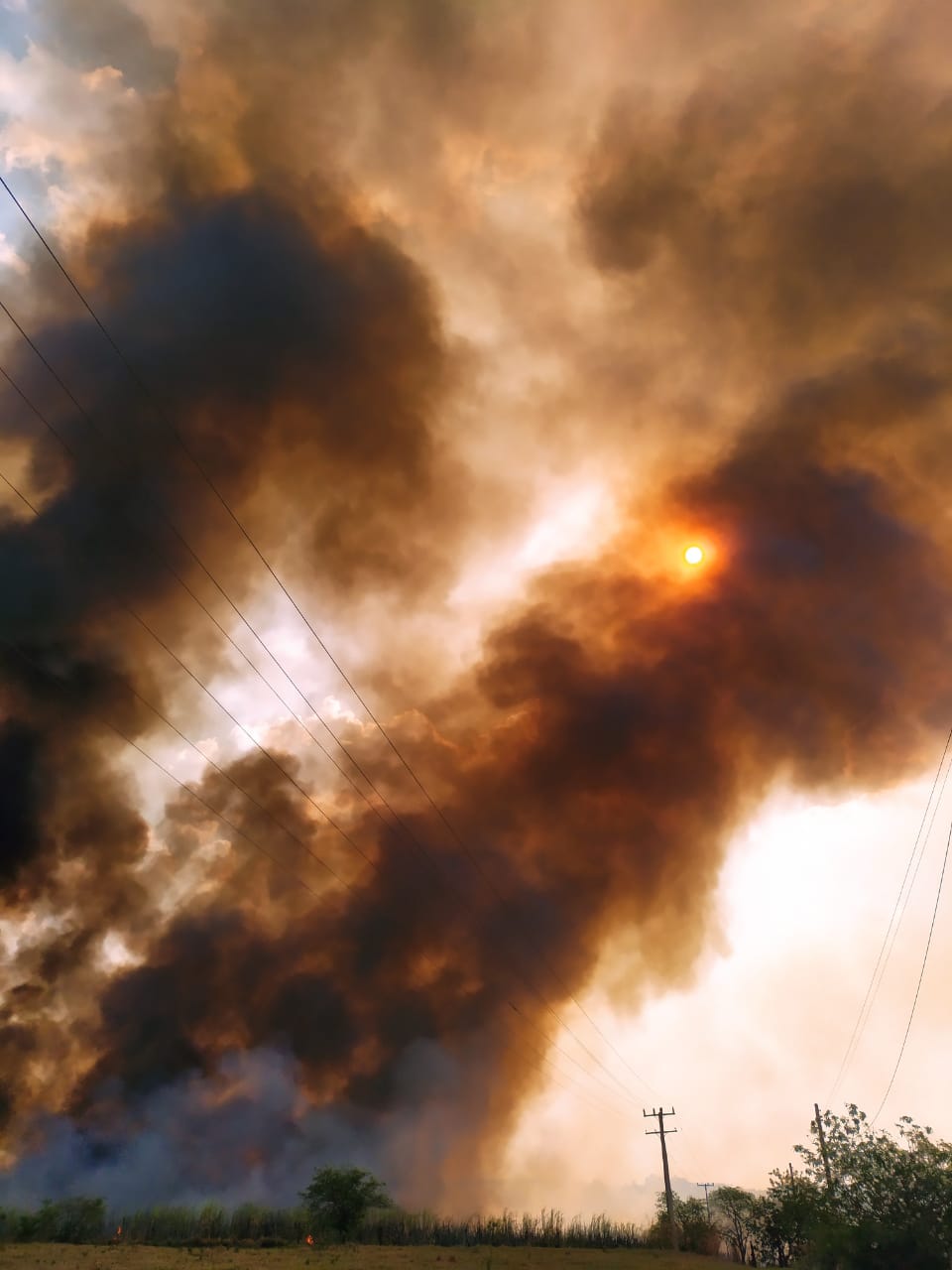 Grande incêndio atinge a vicinal Tupã/Bastos neste sábado