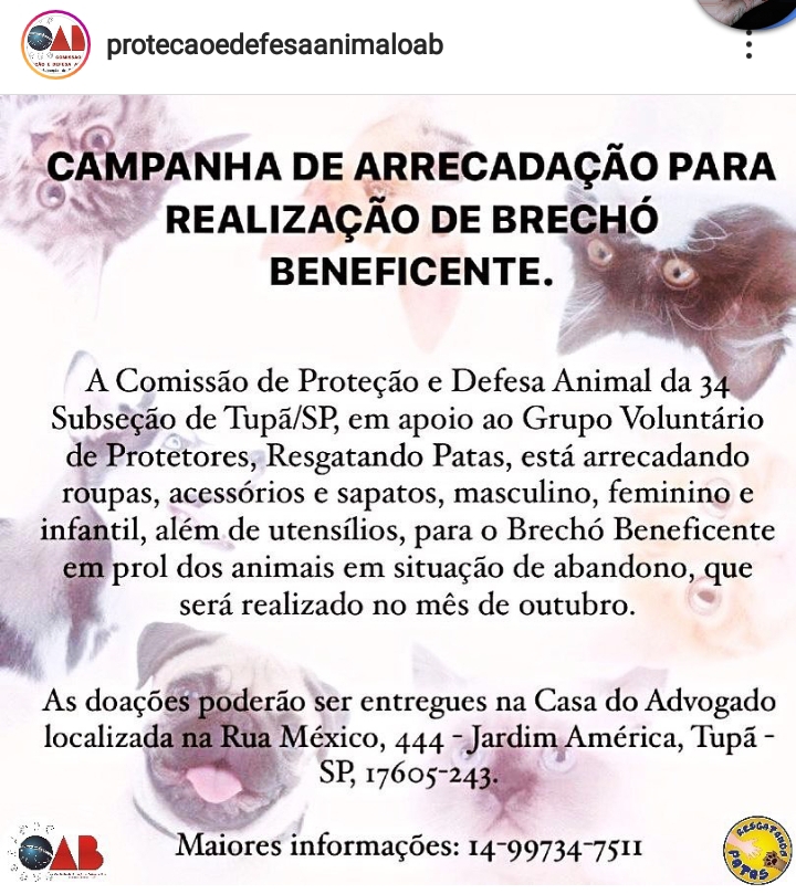 Grupo Resgatando Patas promove o 1º Mini Brechó em prol aos animais abandonados