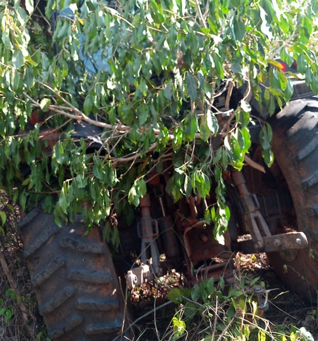 Tratores furtados em Iacri são localizados em meio a matagal em Braúna