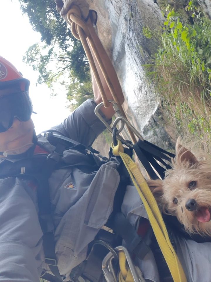 Cão foi colocado numa bolsa e içado pelos bombeiros com cordas e técnicas de rapel: desidratado e cansado — Foto: Corpo de Bombeiros/Divulgação