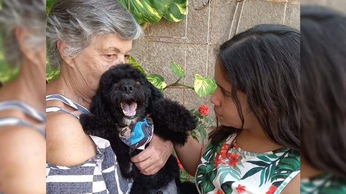 Cão resgatado após ser amarrado em sacola e jogado dentro de bueiro ganha novo lar