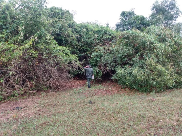 Autos de infração foram aplicados durante fiscalização da Polícia Ambiental de Tupã.