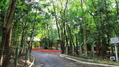 Tupã deverá ter seu primeiro bosque numa área na Vila Abarca